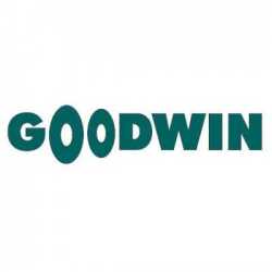 Goodwin 3cf25305ff